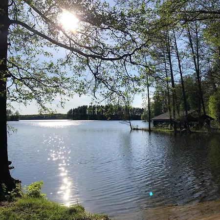 Villa Palsin Tila Hirvensalmi