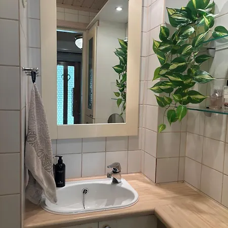 Palsin Tila Hirvensalmi