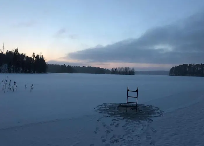 Palsin Tila Hirvensalmi