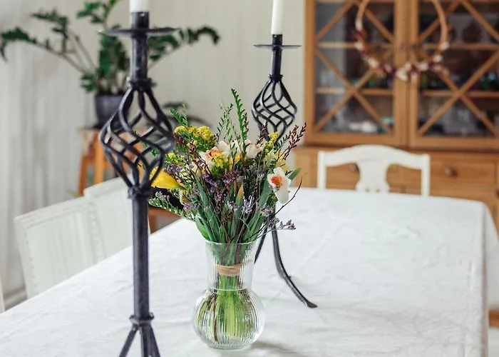 וילה Palsin Tila *